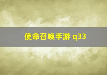 使命召唤手游 q33